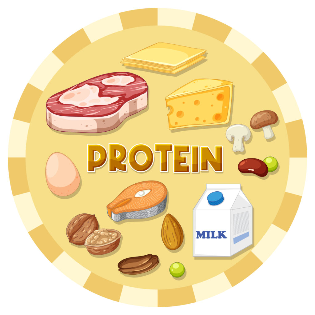 protein