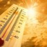 Summer heat